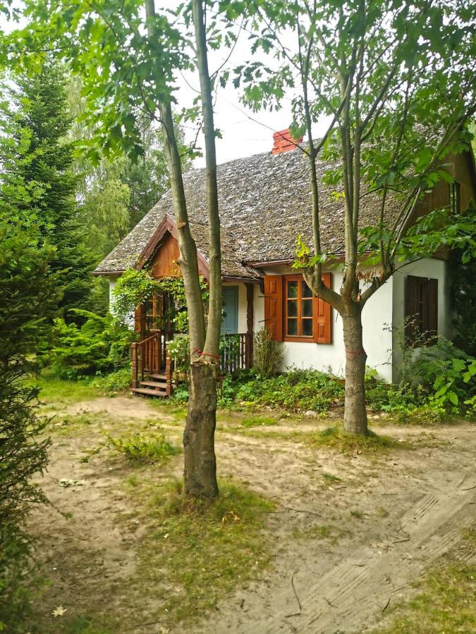 Az Pod Las Zbiczno Exteriör bild