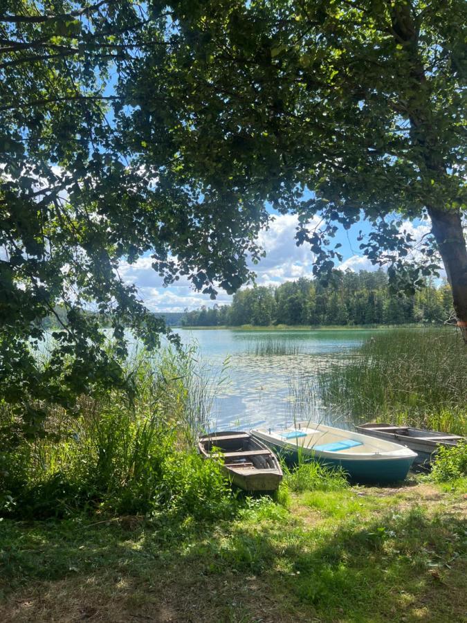 Az Pod Las Zbiczno Exteriör bild